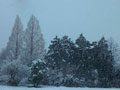 2013年1月14日の雪景色